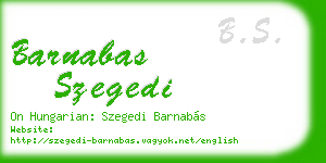 barnabas szegedi business card